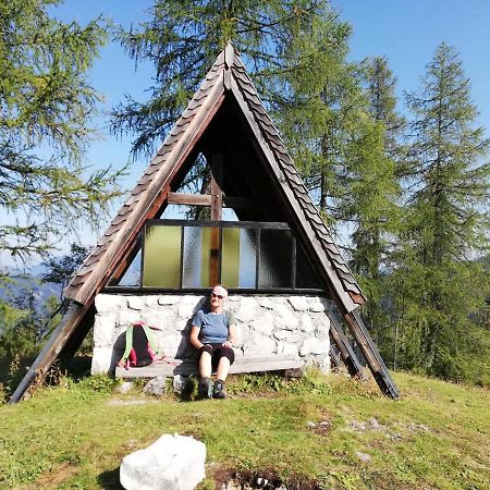 Ferienwohnung Schmaranzer Gosau Exteriér fotografie