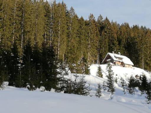 Ferienwohnung Schmaranzer Gosau Exteriér fotografie