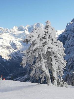 Ferienwohnung Schmaranzer Gosau Exteriér fotografie