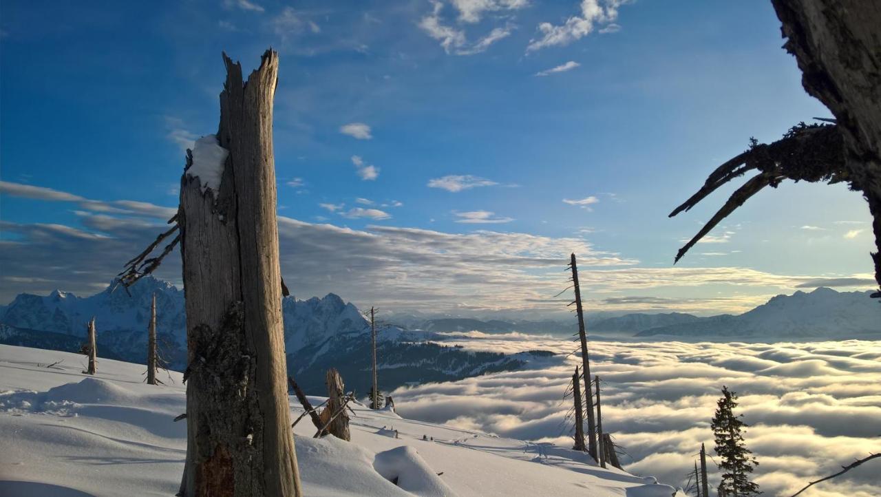 Ferienwohnung Schmaranzer Gosau Exteriér fotografie