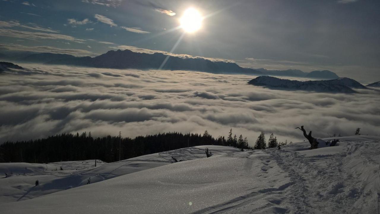 Ferienwohnung Schmaranzer Gosau Exteriér fotografie