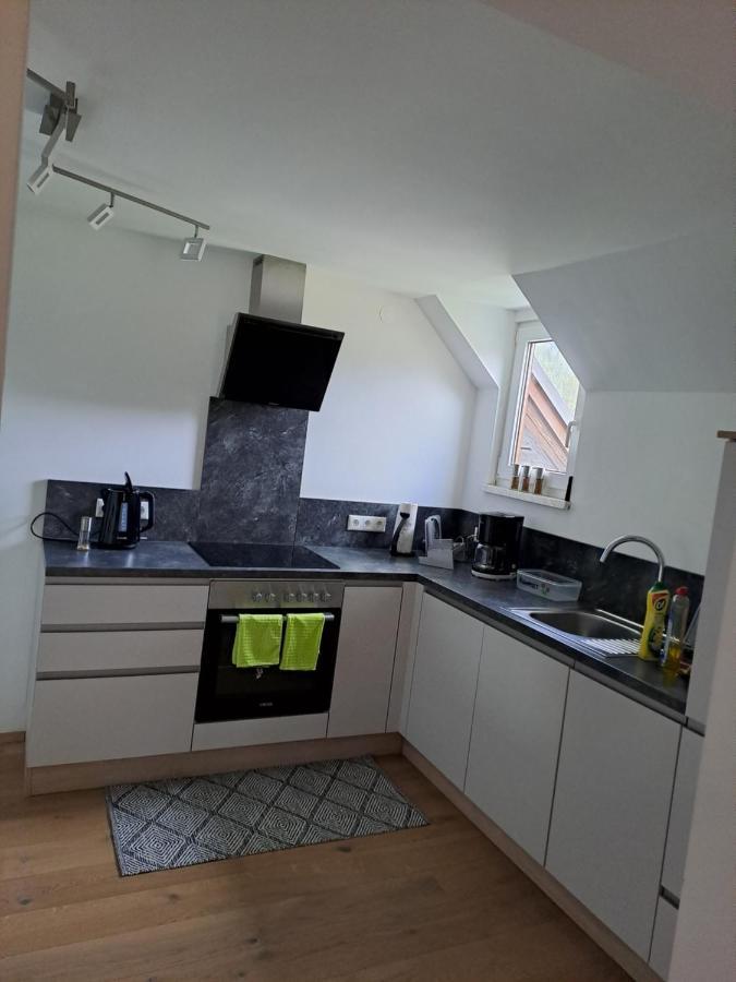 Ferienwohnung Schmaranzer Gosau Exteriér fotografie